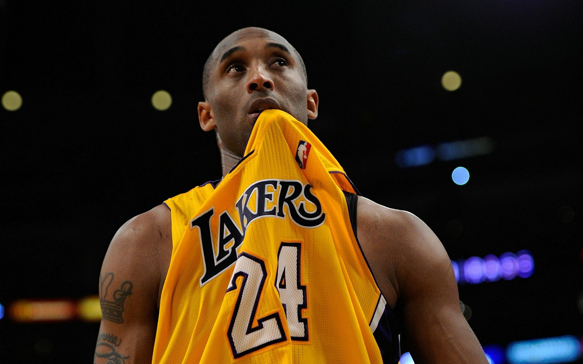 甲劲旅皇家 甲劲旅皇家