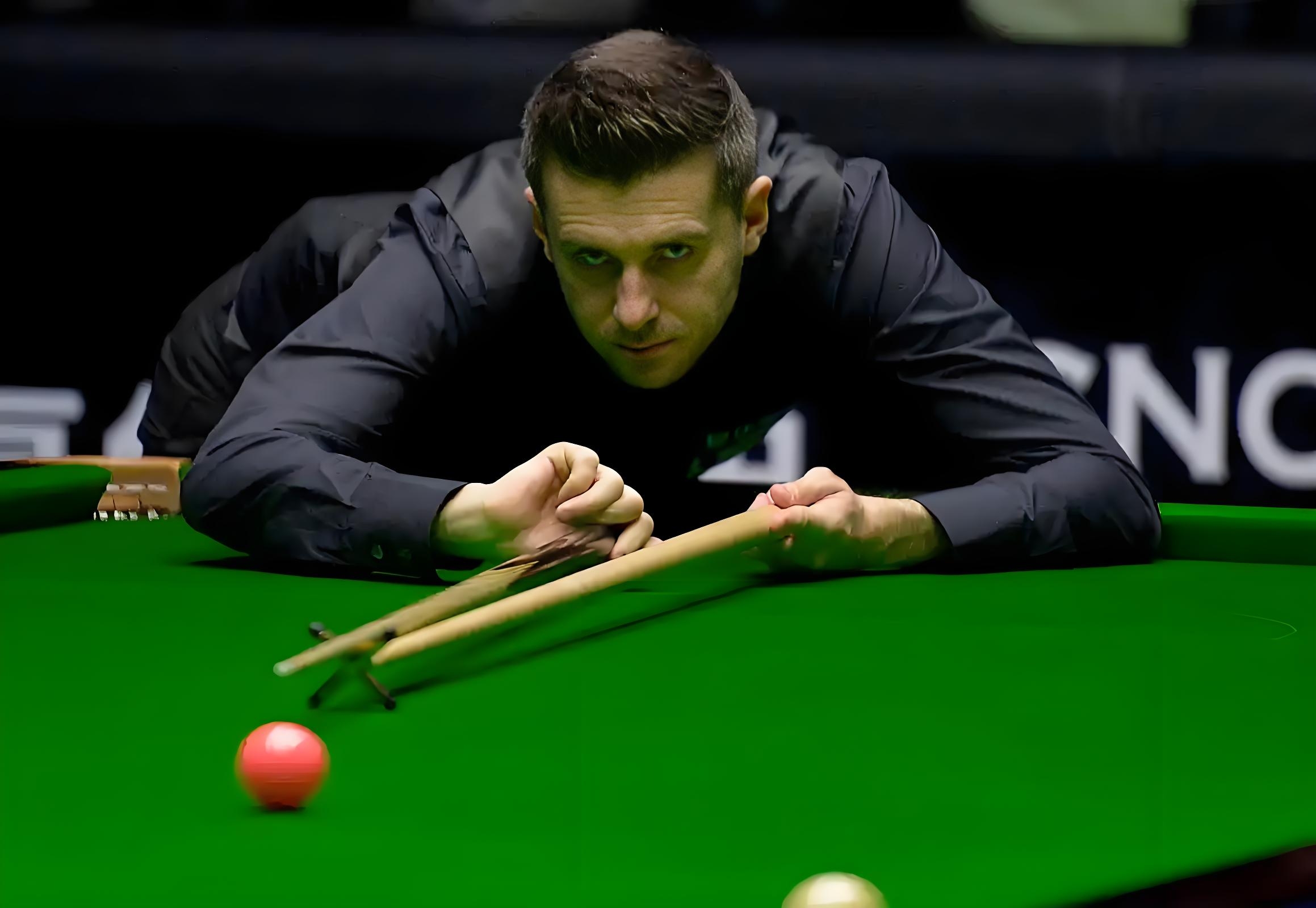 了新活力 了新活力