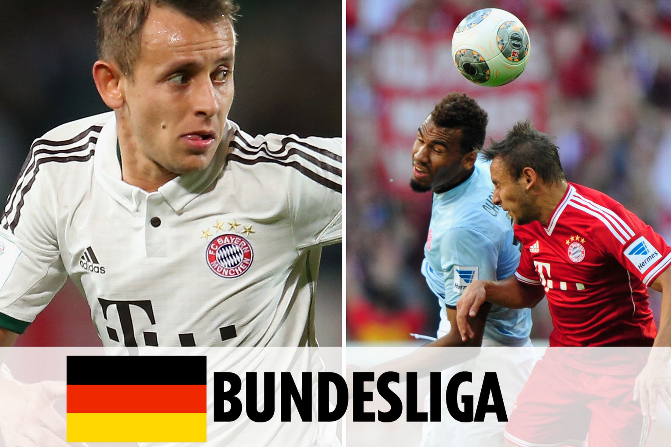 现有阵容来 现有阵容来