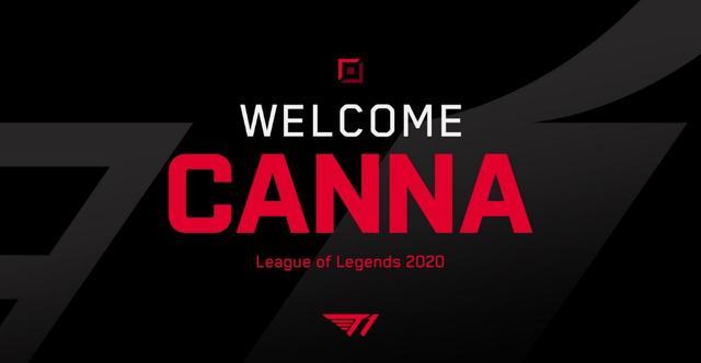 身体对抗的 身体对抗的